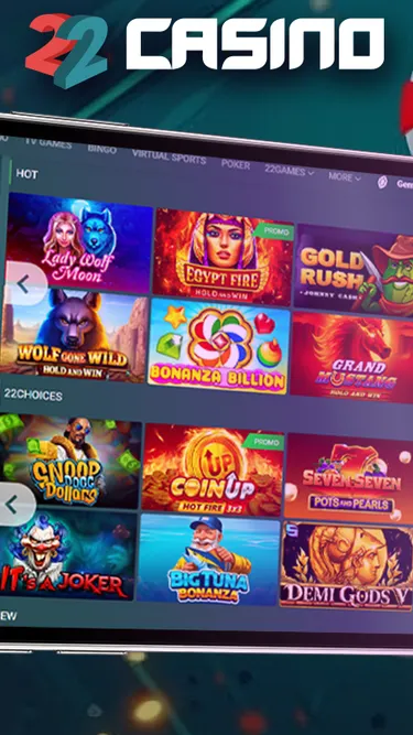22 Casino Screenshot